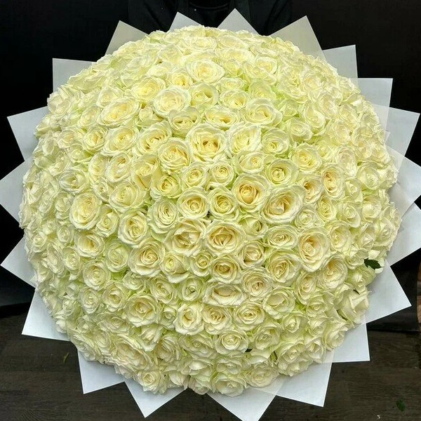 Букет цветов "201 белая роза" Букет цветов "201 белая роза"