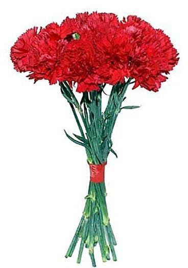 Букет цветов "Красные гвоздики" Букет цветов "Красные гвоздики"